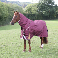 Cuello para manta de exterior Plus 100 Shires Highlander Burdeos