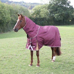 Cuello para manta de exterior Plus 100 Shires Highlander Burdeos