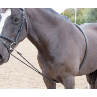 Enrriamiento de cuerda suave Shires Negro