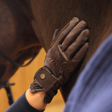 Guantes de equitación Stadium Shires Aubrion Castaño Marrón Guantes de equitación Stadium Shires Aubrion Castaño Marrón