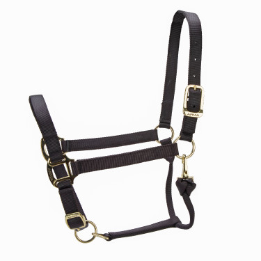 Cabezada ajustable Premium Shires Arma Negro