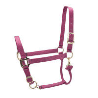Cabezada ajustable Premium Shires Arma Negro