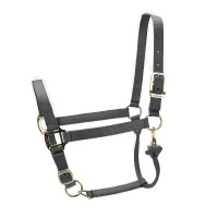 Cabezada ajustable Premium Shires Arma Negro