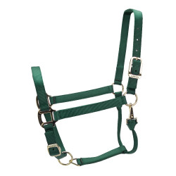 Cabezada ajustable Premium Shires Arma Caza verde