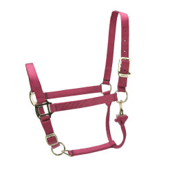 Cabezada ajustable Premium Shires Arma Roja Rojo