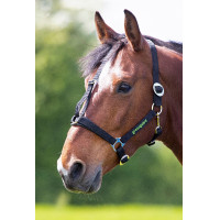 Cabezada Shires Greenguard Negro
