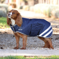 Abrigo impermeable ligero para perro Shires Digby & Fox Marino Azul marino