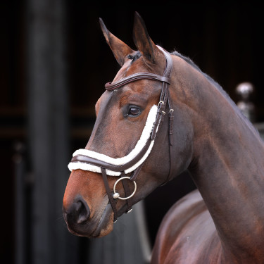 Muserola francesa curvada polar Shires Velociti Rapida Castaño Marr&amp;amp;amp;oacute;n