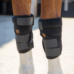 Paquete de hielo de repuesto para 2005 Shires Negro