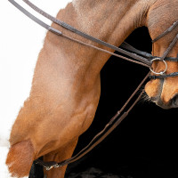 Riendas alemanas elásticas Shires Velociti Gara Castaño Marr&amp;amp;amp;oacute;n