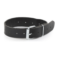Correa de repuesto Shires Greenguard Negro
