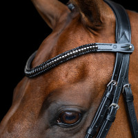 Frontal Imperial Riding Clincher Negro