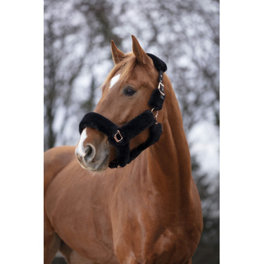 Cabezada Equi-Theme Teddy rose gold Cabezada Equi-Theme Teddy rose gold