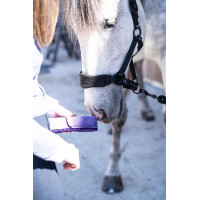 Esponja Shine Lamicell Púrpura Violeta