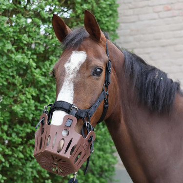 Bozal de pastoreo 25 mm Lami-Cell para caballos | Equitación Bozal de pastoreo 25 mm Lami-Cell para caballos | Equitación