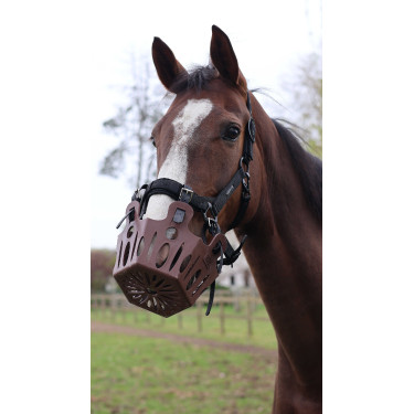 Bozal de pastoreo 25 mm Lami-Cell para caballos | Equitación Bozal de pastoreo 25 mm Lami-Cell para caballos | Equitación