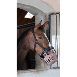 Bozal de pastoreo 25 mm Lami-Cell para caballos | Equitación Bozal de pastoreo 25 mm Lami-Cell para caballos | Equitación