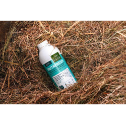 Suplemento respiratorio para caballos Nutri'Rési Ravene