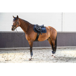 Lamicell Mantilla V22 Picasso