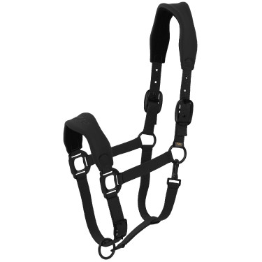 Lamicell Cabezada V22