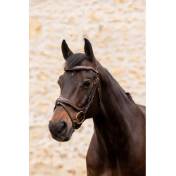 K by Equithème Brida K-Kontour K by Equithème Brida K-Kontour