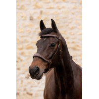 K by Equithème Brida K-Konnect
