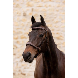 K by Equithème Brida K-Konnect K by Equithème Brida K-Konnect