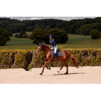 K by Equithème Riendas de cuero y grip K-Grip