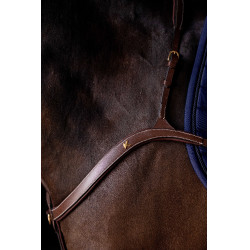 K by Equithème Pechopetral de 3 puntos K-Kontour