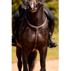 K by Equithème Pechopetral de 3 puntos K-Kontour