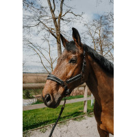 Cabezada + ramal Equithème Coco Negro
