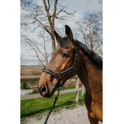 Cabezada + ramal Equithème Coco Cabezada + ramal Equithème Coco