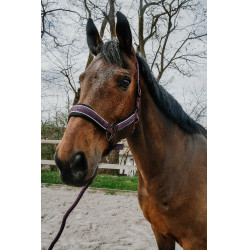 Cabezada + ramal Equithème Coco Cabezada + ramal Equithème Coco