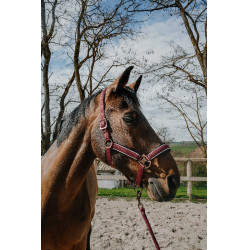Cabezada + ramal Equithème Coco Cabezada + ramal Equithème Coco