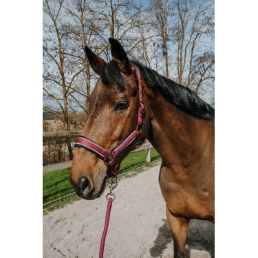 Cabezada + ramal Equithème Coco Cabezada + ramal Equithème Coco