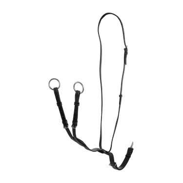 Martingala con collarín de cuero con hebillas ajustables Negro