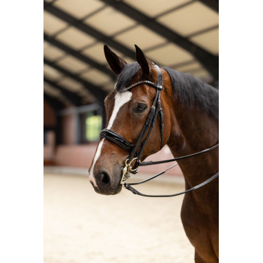 Brida Glamourdale Weymouth Horze Negro Brida Glamourdale Weymouth Horze Negro