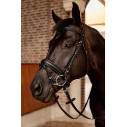 Brida de doma Horze Eternal Gaze Negro