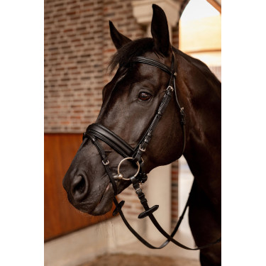 Brida de doma Horze Eternal Gaze Negro