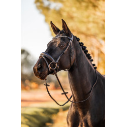 Brida anatómica Horze Lockhart Negro Brida anatómica Horze Lockhart Negro