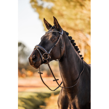 Brida anatómica Horze Lockhart Negro Brida anatómica Horze Lockhart Negro