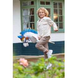 Accesorios equitación Hobby Horse Disney Pegaso | Equi-Clic