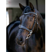 Cavecón de cuero polivalente negro LeMieux