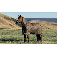 Manta impermeable LeMieux Arika Ripstop 100g Alpino Marrón Manta impermeable LeMieux Arika Ripstop 100g Alpino Marrón
