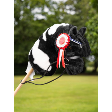 Escarapelas para Hobby Horse de equitación
