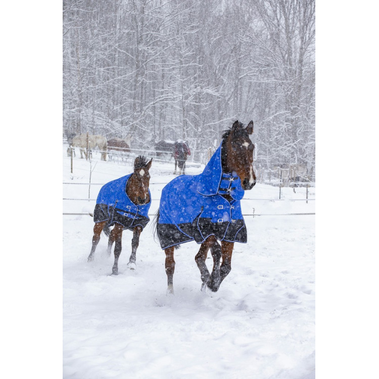 Manta Equi-Theme TYREX 1200D Aisance High Neck Manta Equi-Theme TYREX 1200D Aisance High Neck