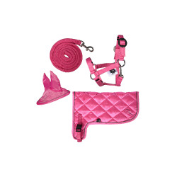 Set de neón HKM Hobby Horse Rosa