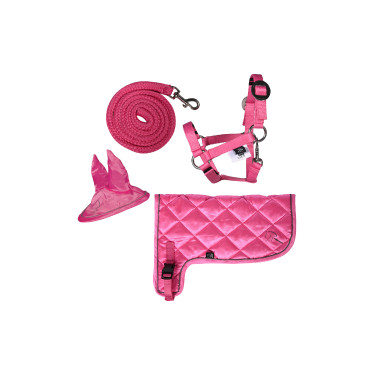 Set de neón HKM Hobby Horse Rosa