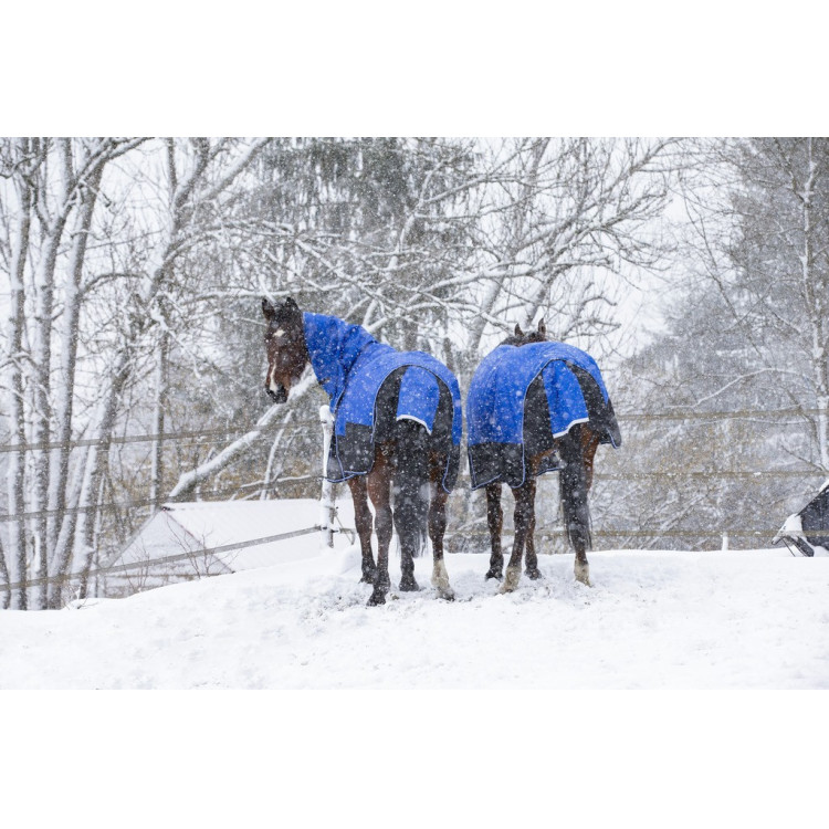 Manta Equi-Theme TYREX 1200D Aisance High Neck Manta Equi-Theme TYREX 1200D Aisance High Neck