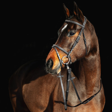 Cabezada Constance Horze Negro